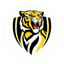 Strathdale Tigers